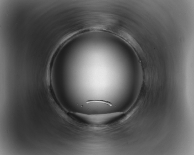 X0000089431036200706151305