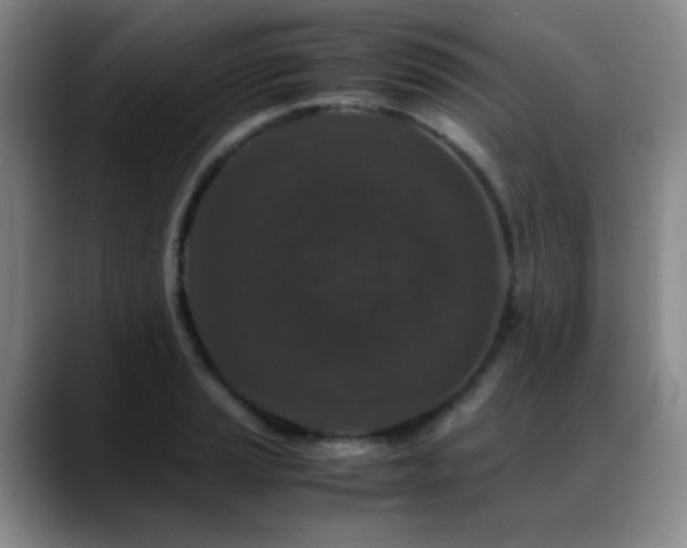 X0000089431037200706151305