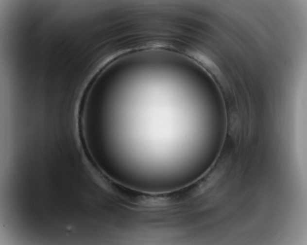 X0000089431039200706151305