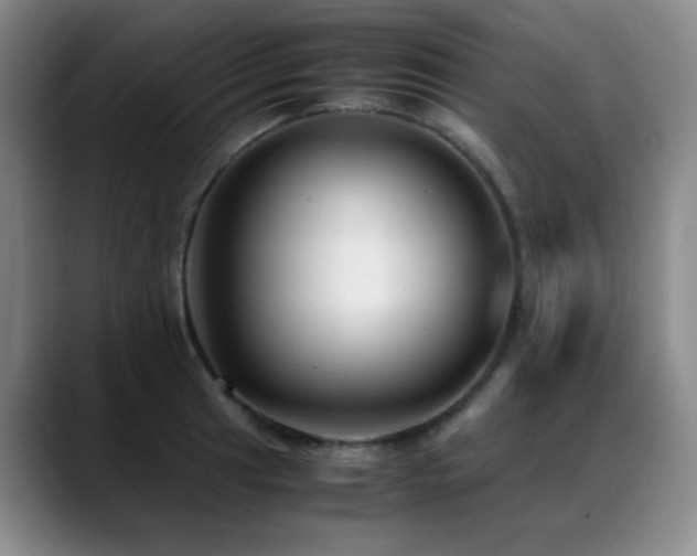 X0000089431041200706151305