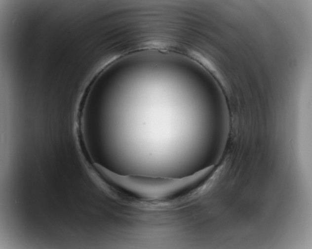 X0000089431042200706151305