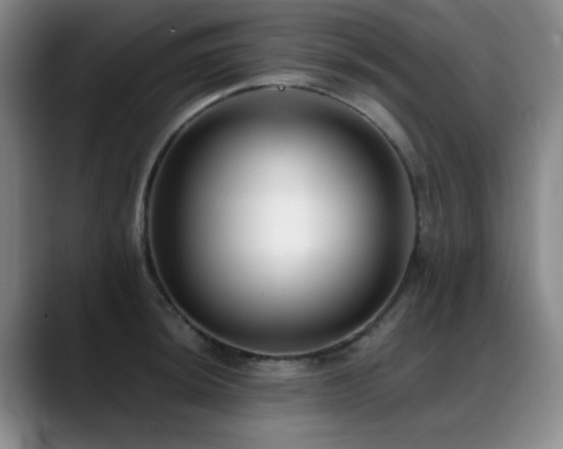 X0000089431044200706151305