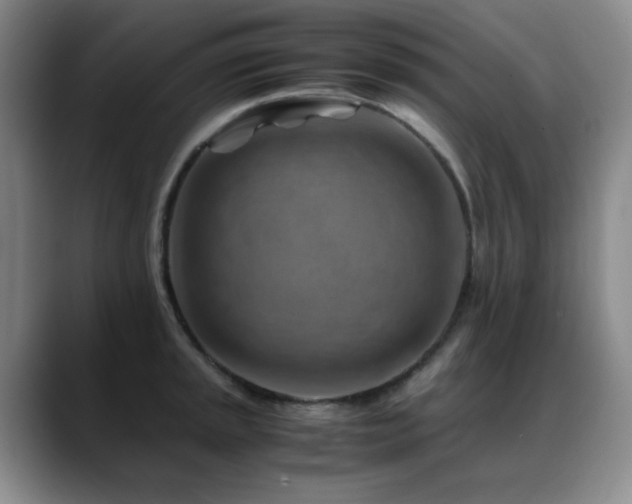 X0000089431045200706151305