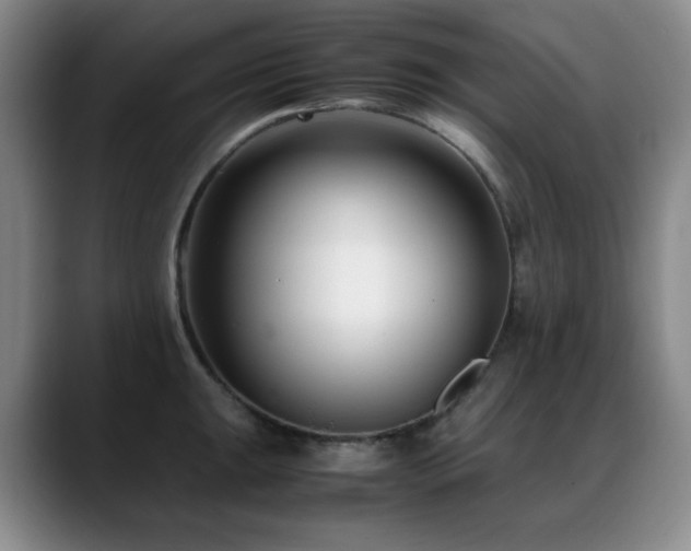 X0000089431047200706151305