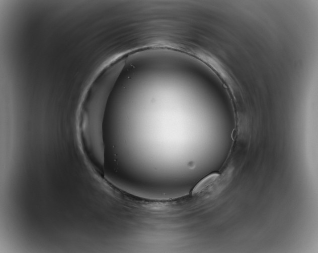 X0000089431048200706151305