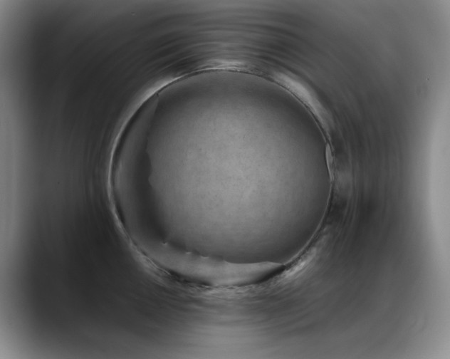 X0000089431050200706151305