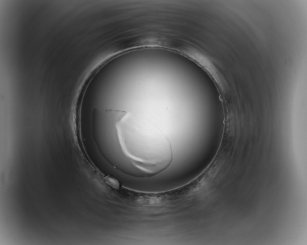 X0000089431051200706151305