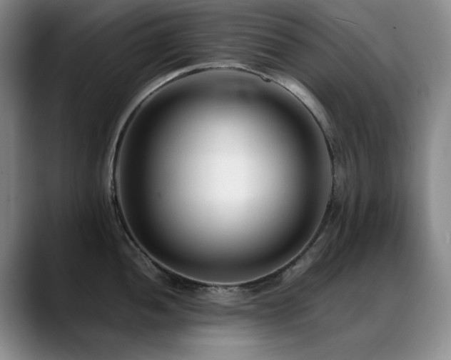 X0000089431052200706151305