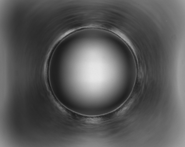 X0000089431053200706151305