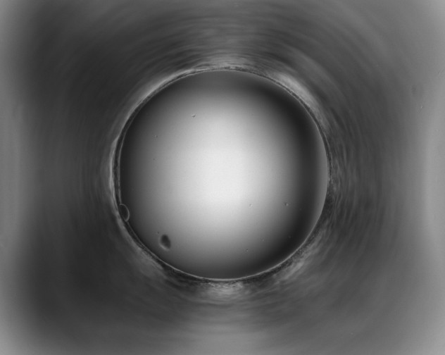 X0000089431055200706151305