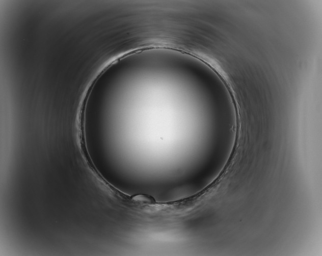X0000089431056200706151305