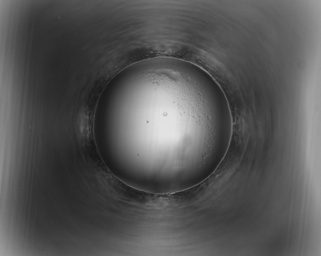 X0000089431058200706151305