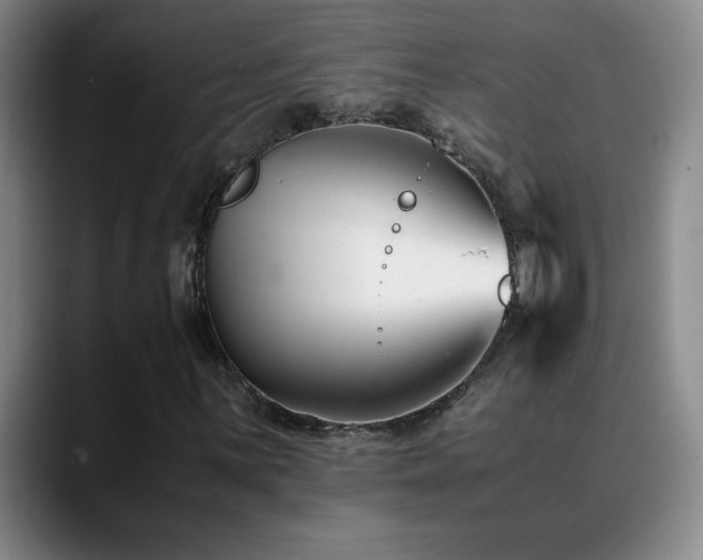 X0000089431059200706151305