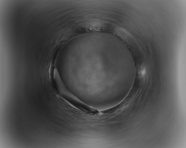 X0000089431060200706151305
