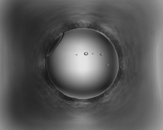 X0000089431061200706151305