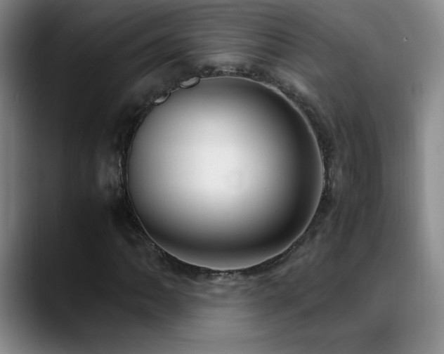 X0000089431062200706151304