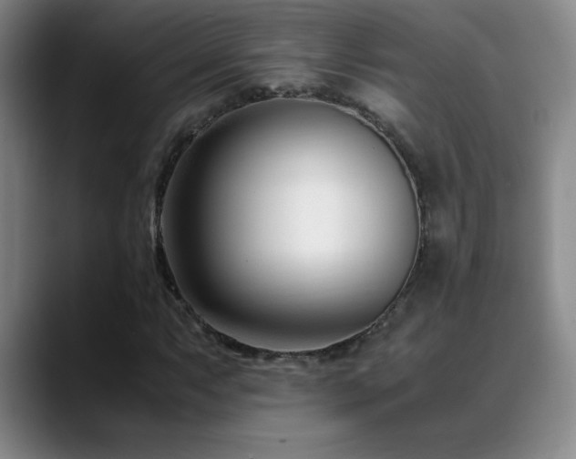 X0000089431063200706151304