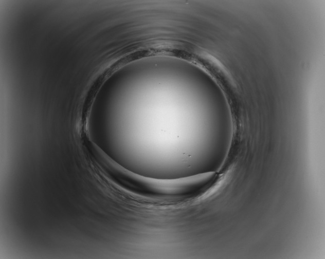 X0000089431065200706151304