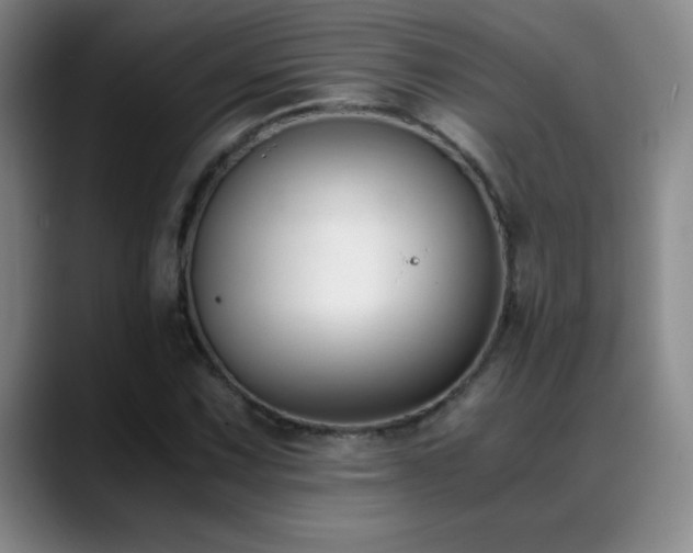 X0000089431067200706151304