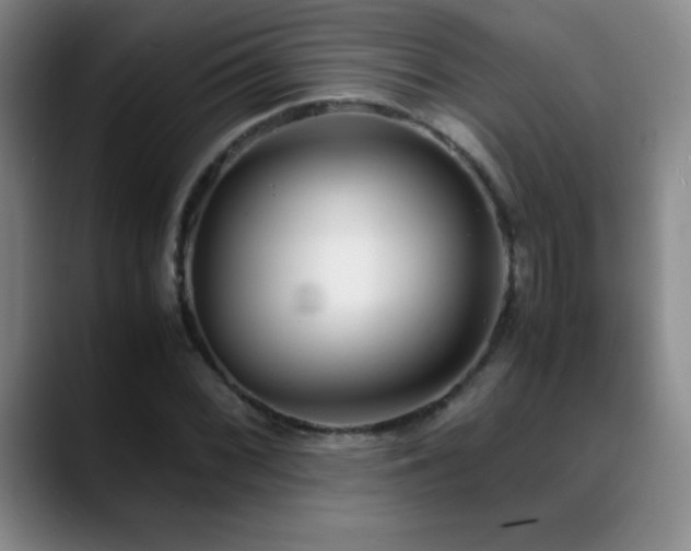 X0000089431068200706151304
