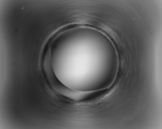 X0000089431069200706151304