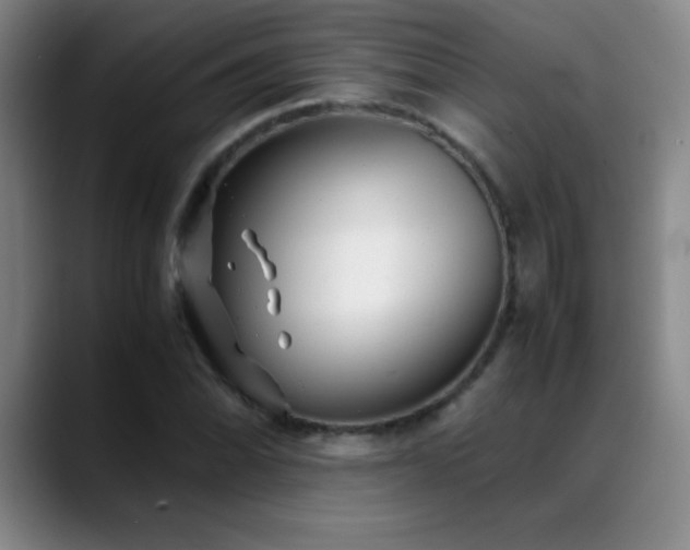 X0000089431070200706151304