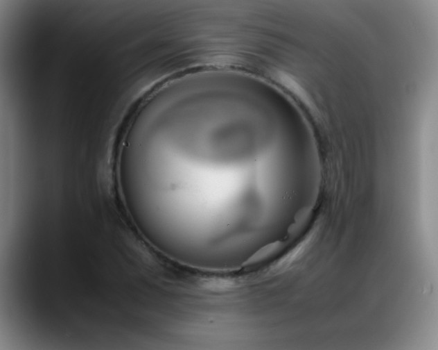 X0000089431071200706151304