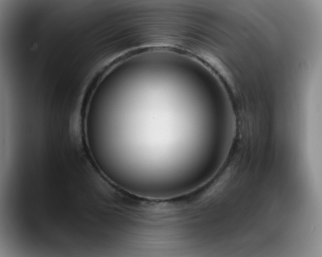 X0000089431072200706151304