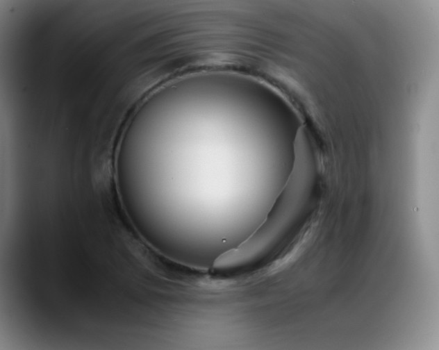 X0000089431073200706151304