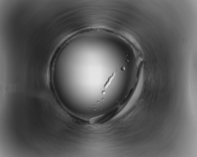X0000089431076200706151304
