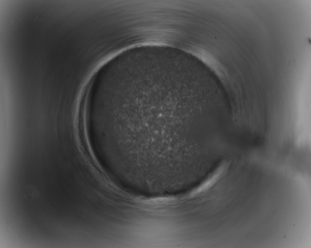 X0000089431077200706151304