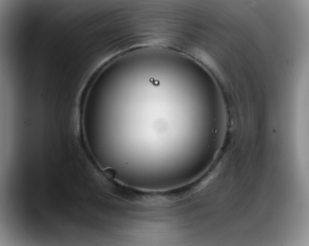 X0000089431079200706151304