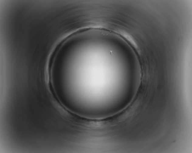 X0000089431080200706151304