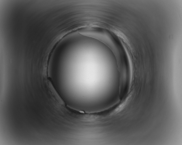 X0000089431081200706151304
