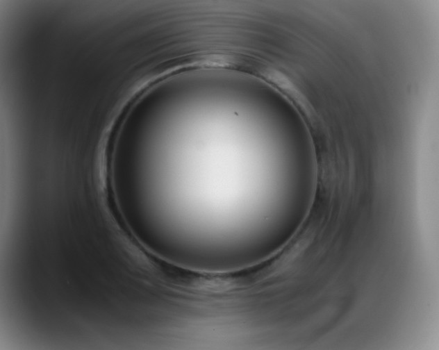 X0000089431083200706151304