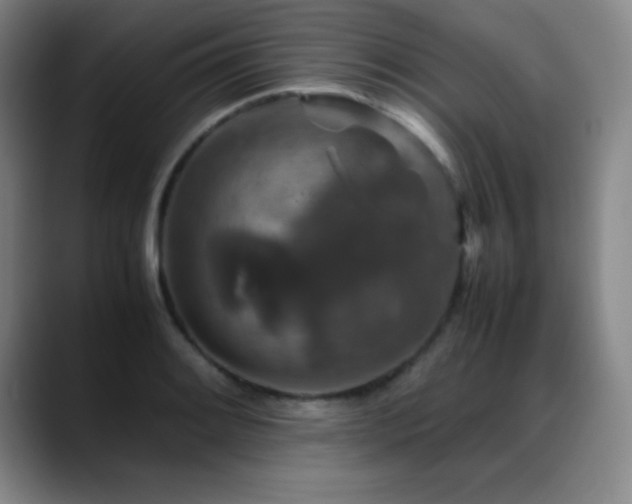 X0000089431084200706151304