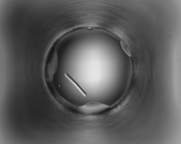 X0000089431085200706151304