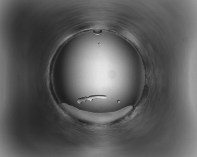 X0000089431087200706151304