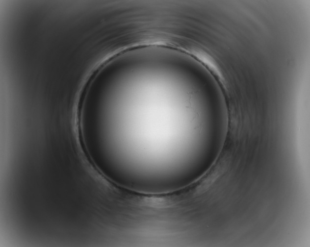 X0000089431088200706151304