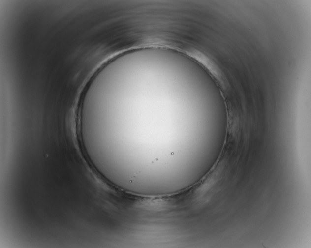 X0000089431094200706151304