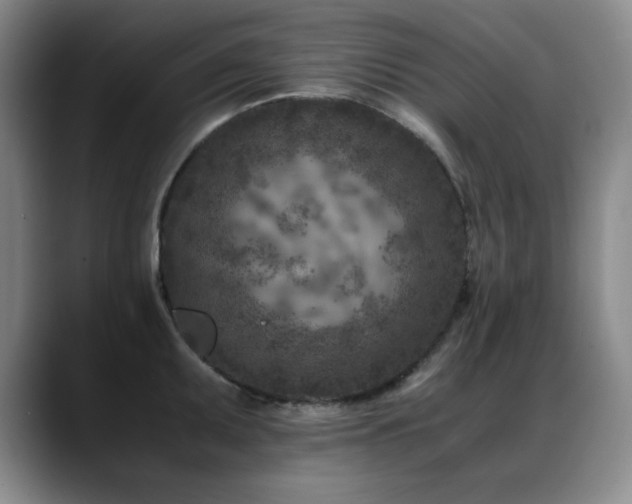 X0000089431095200706151304