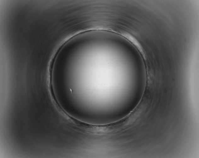 X0000089431096200706151304