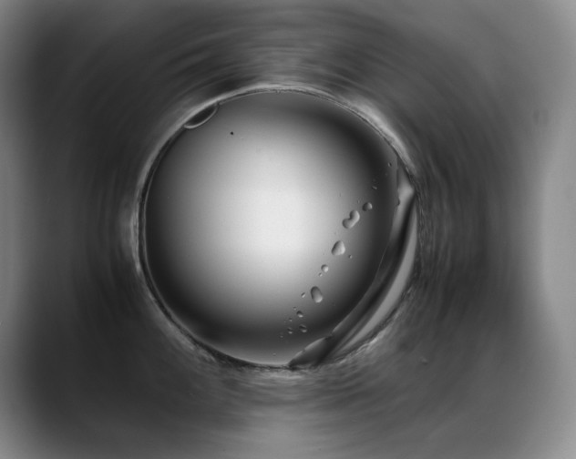 X0000089431100200706151304