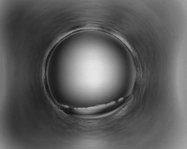 X0000089431101200706151304