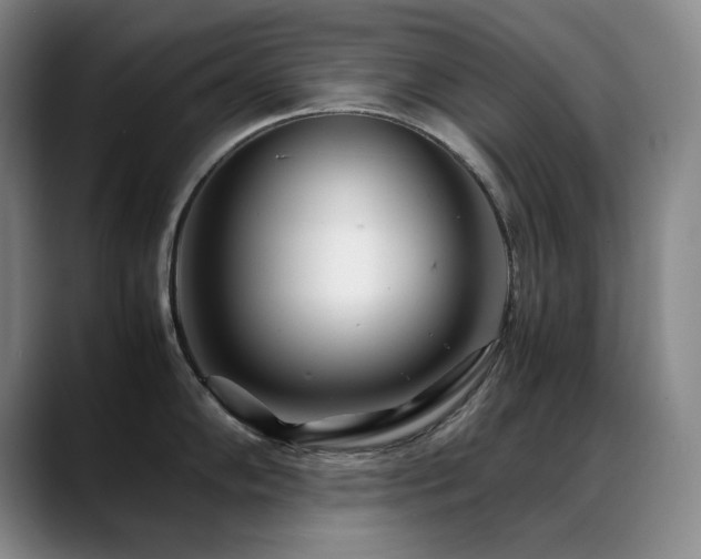 X0000089431102200706151304