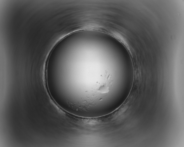 X0000089431103200706151304