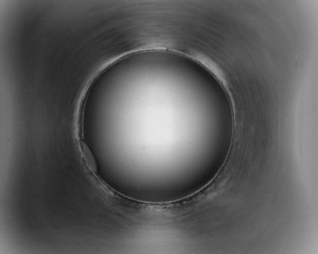 X0000089431104200706151304