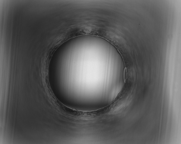 X0000089431105200706151303
