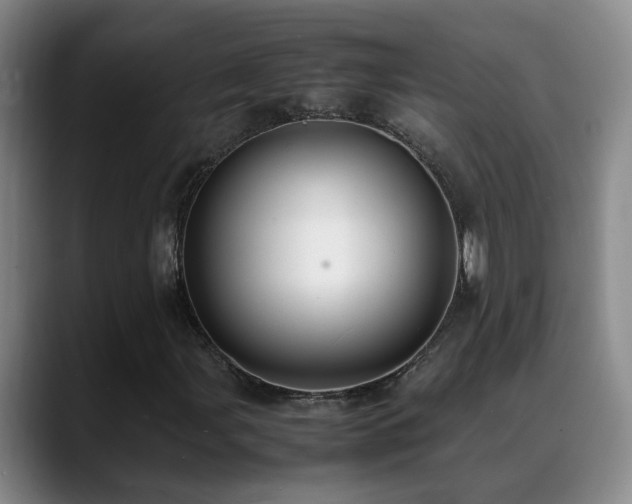 X0000089431107200706151303