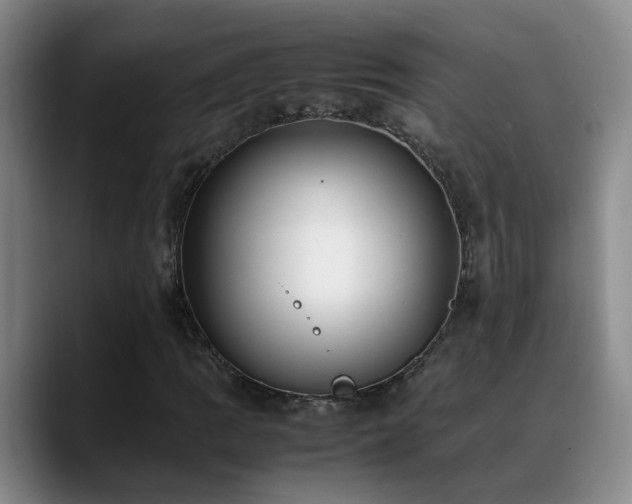 X0000089431109200706151303